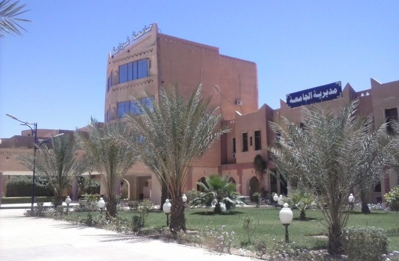 جامعة غرداية