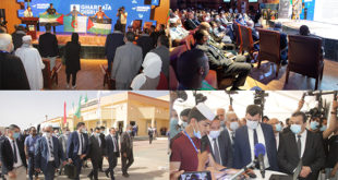 الندوة الجهوية للمؤسسات الناشئة